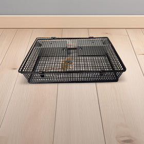Rugged Ranch Mousinator two-door entry enables efficient multi-catch capture