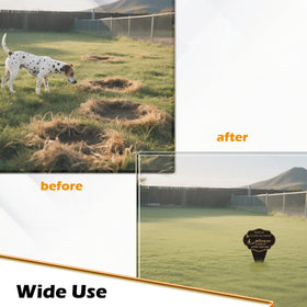 Ruiseone integrated stake-style look supports easy repositioning outdoors.
