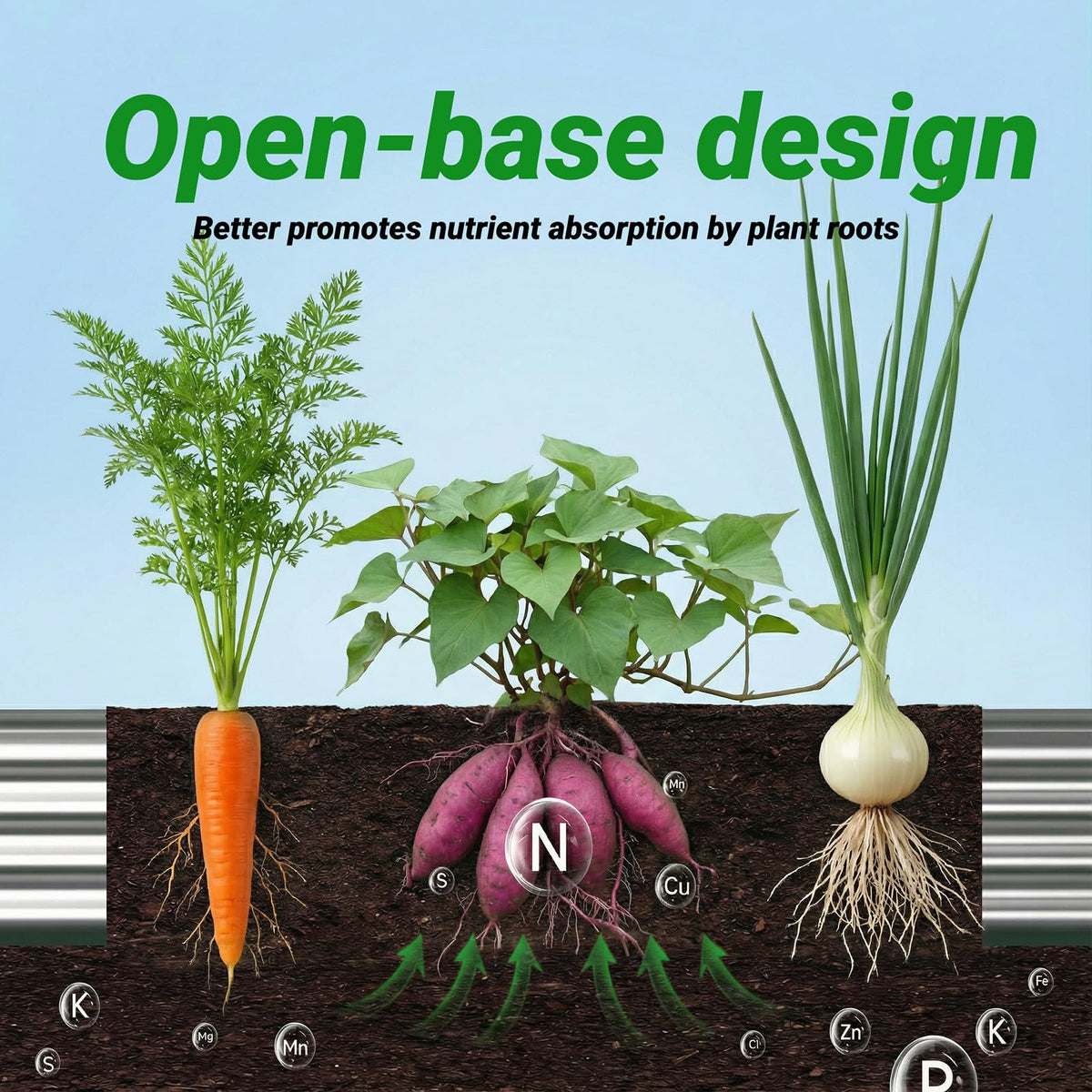 Rujkodvh open-bottom drainage design promotes healthier root growth.