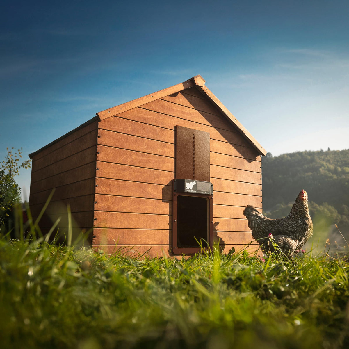 RUN-CHICKEN Door Eternal anti-pinch sensor protects flock during closing.