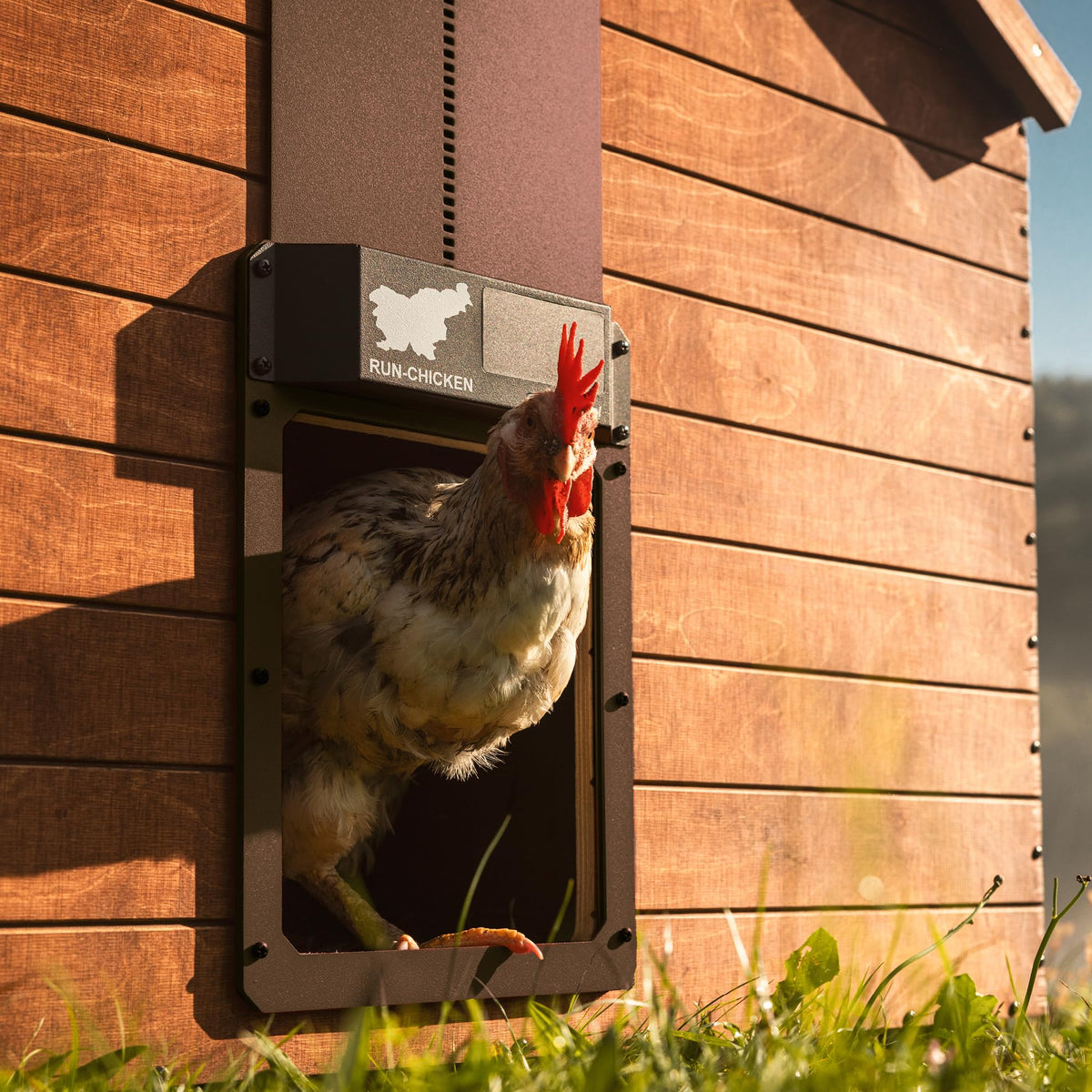 RUN-CHICKEN Door Eternal solar panel close-up powering the built-in battery backup.