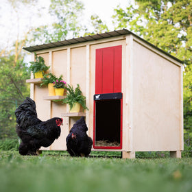 RUN-CHICKEN Door Giant heavy-duty aluminum frame resists rust and weather in all seasons.