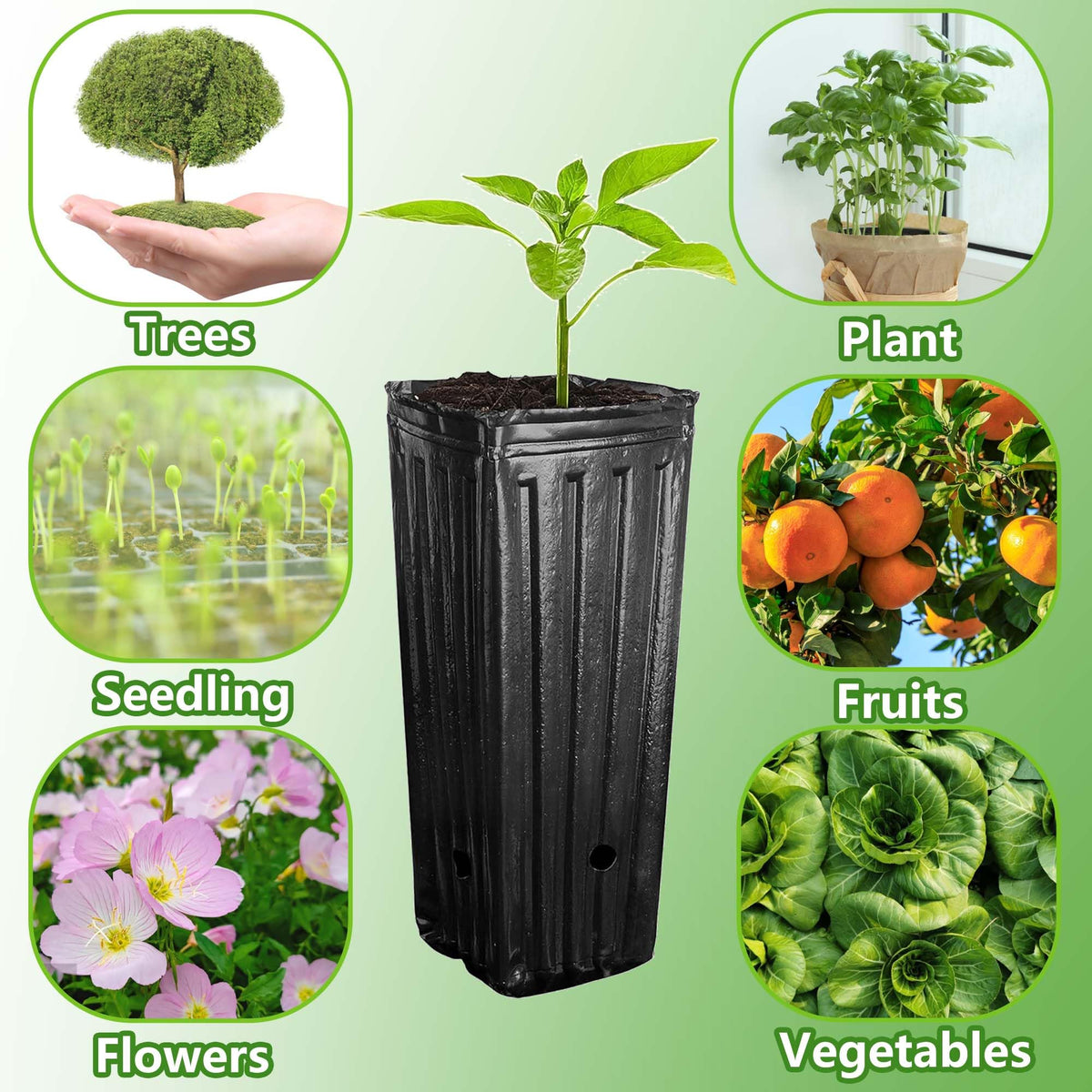RunNico 60-pack deep nursery pots for a complete planting set.