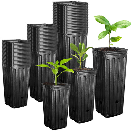 RunNico deep pot 12-2h tall seedling pot for robust root development.
