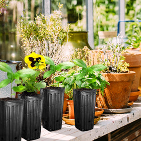 RunNico deep pot root-friendly design supports healthier growth.