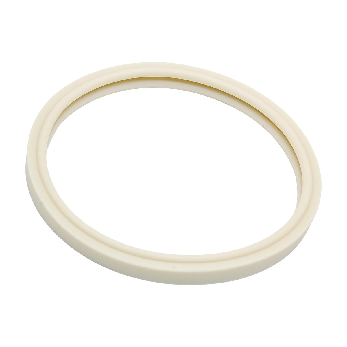 RURBRIN gasket on Pentair AmerLite fits IntelliBrite systems