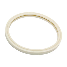 RURBRIN gasket on Pentair AmerLite fits IntelliBrite systems
