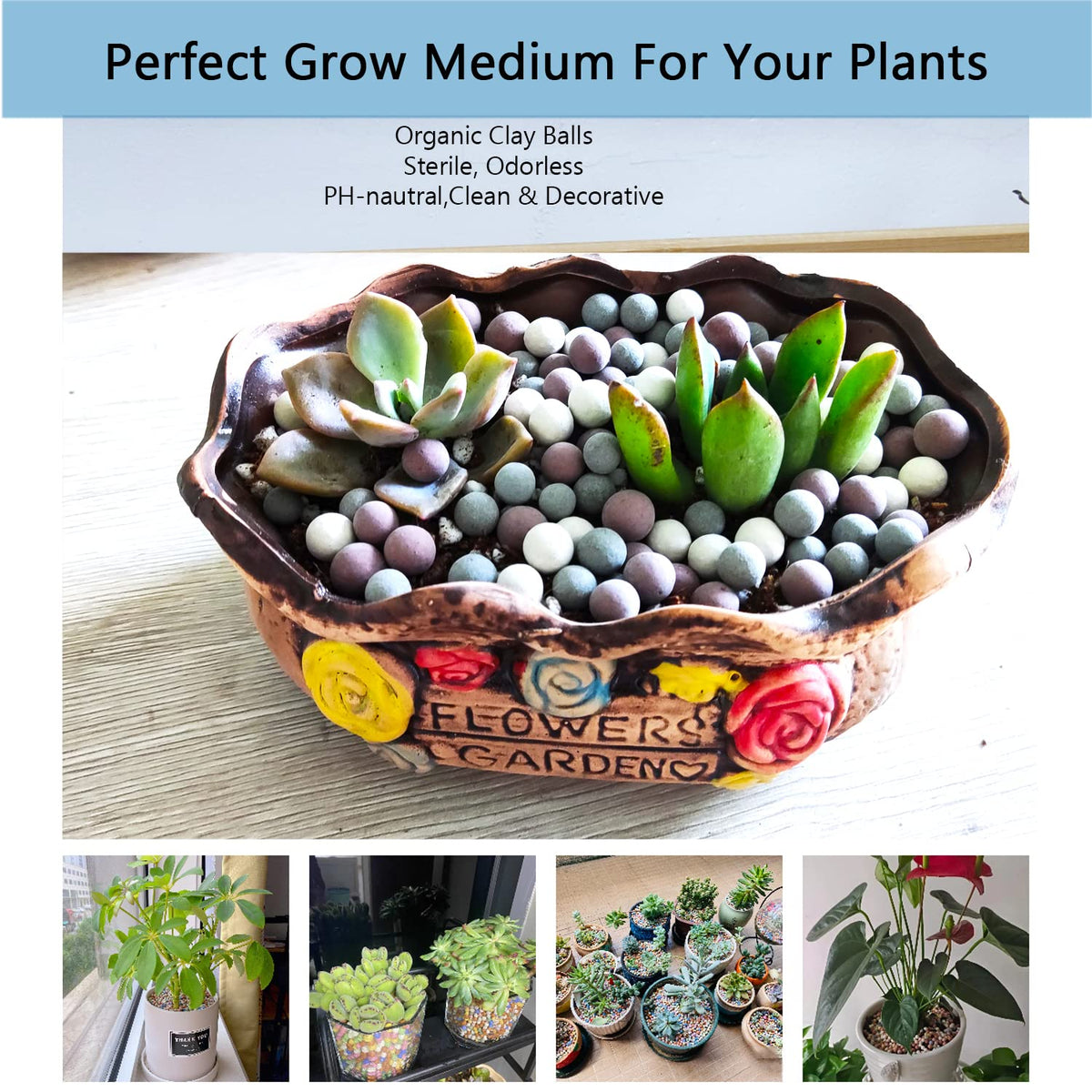 Rurtsva Leca balls orchid potting setup highlights moisture control