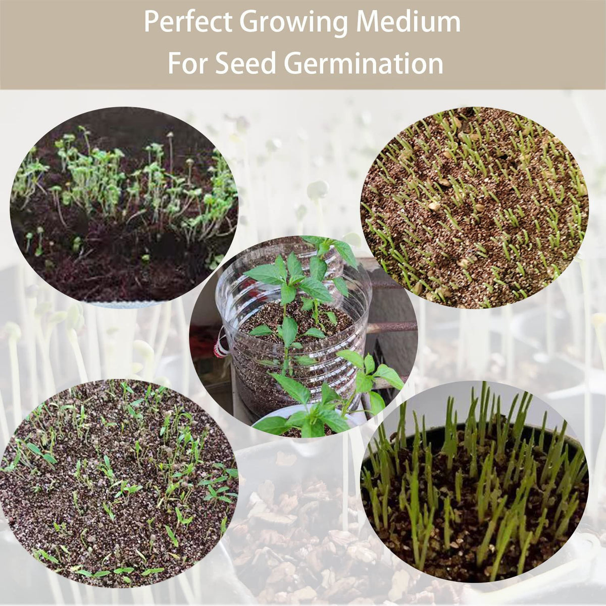 Rurtsva vermiculite 10QT for reptile habitats improves substrate aeration and moisture balance