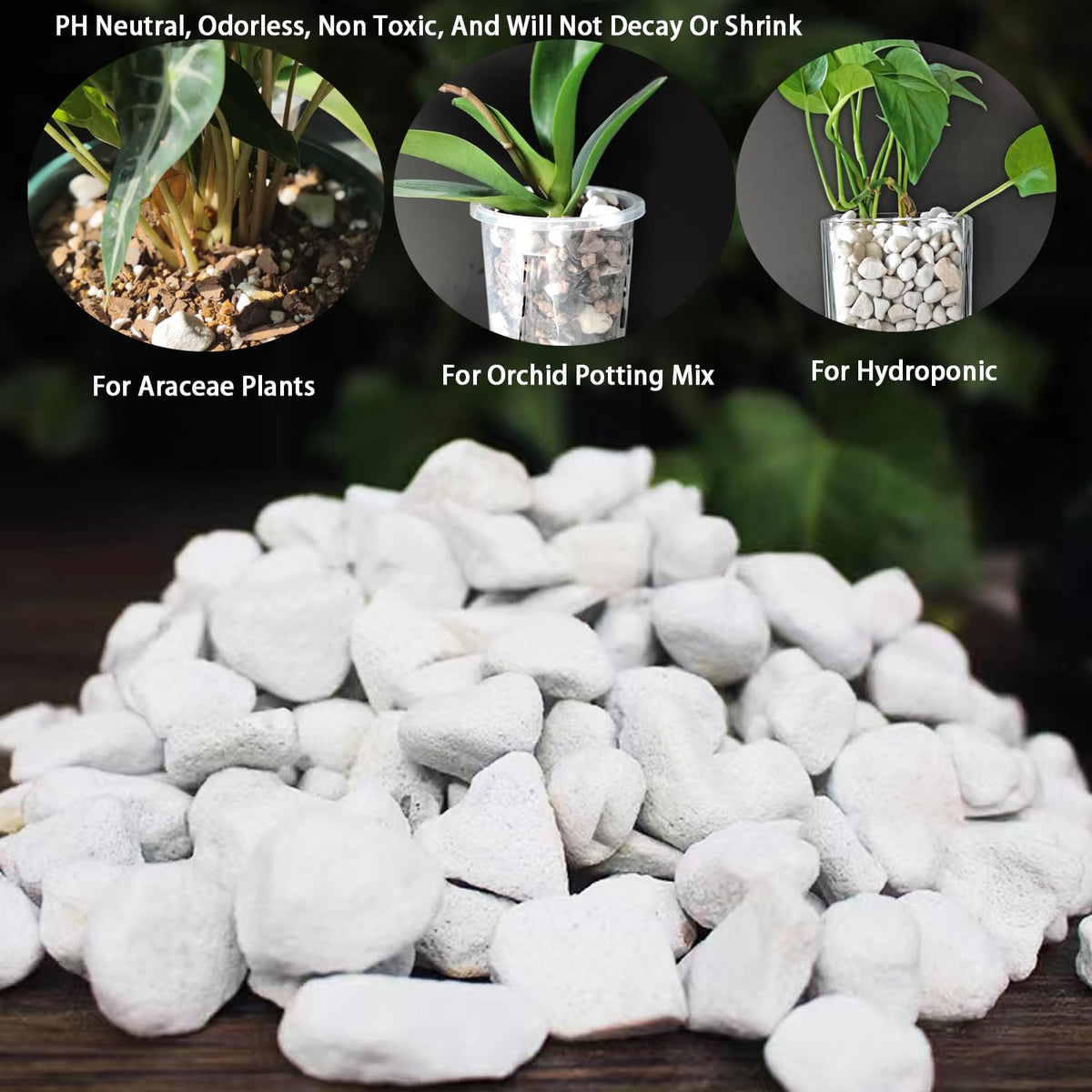 Rurtsva natural perlite bulk pack enhances soil aeration for roots