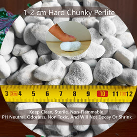 Rurtsva perlite in potting mix supports drainage and reduces compaction