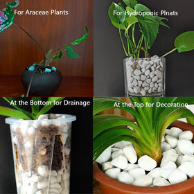 Rurtsva perlite for indoor and outdoor garden use in various soil mixes