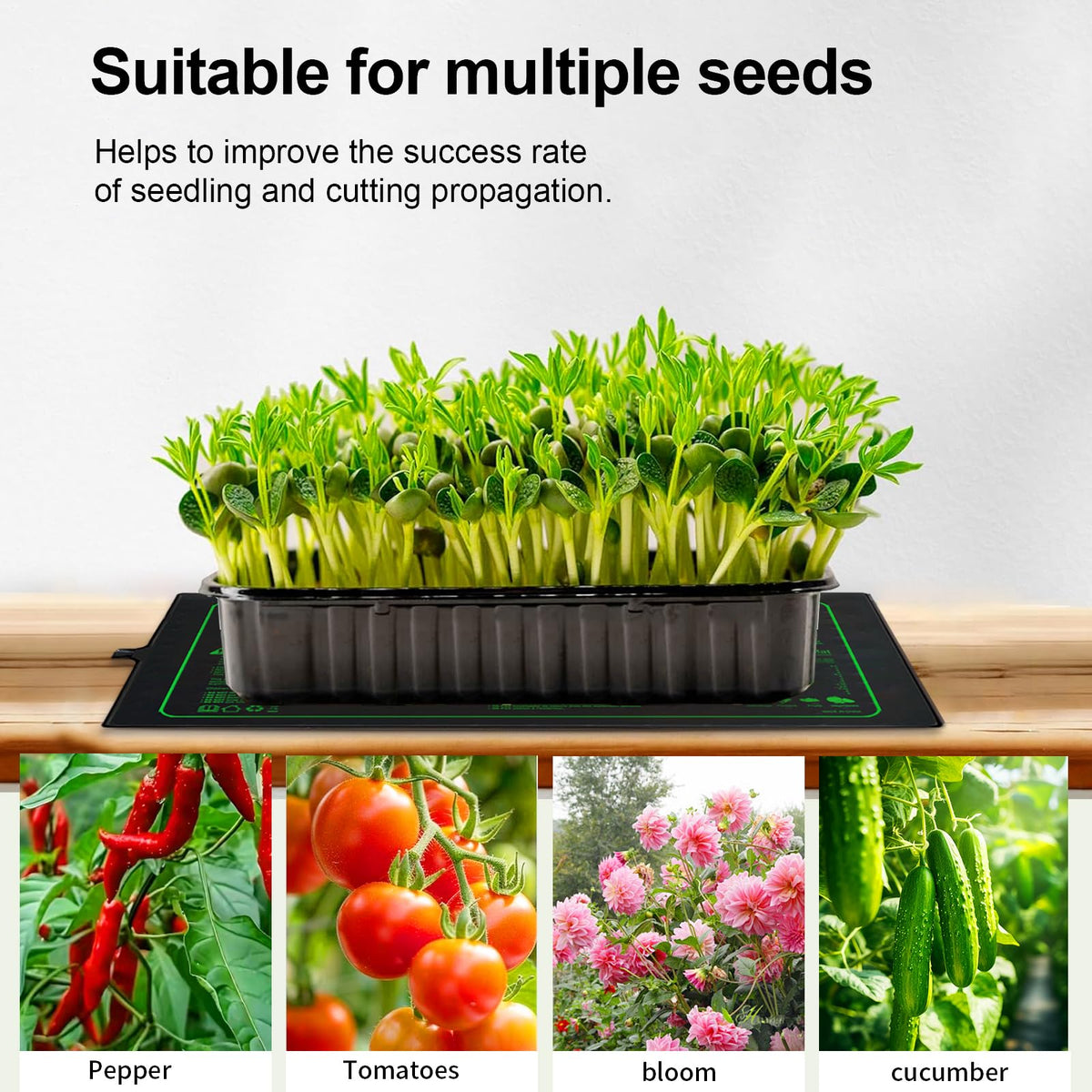 Compact roll-up design of the Ruyyi mat for space-saving storage