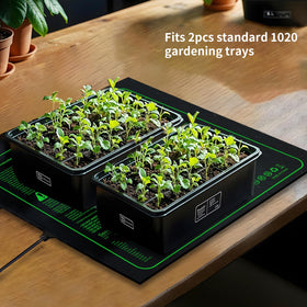 Ruyyi compact design with safe cord supports neat, organized setups.