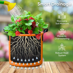 RVZHI included plant labels help organize crops in a container garden.
