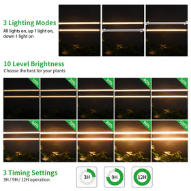 RWNTao 3-switch mode control for customizable lighting