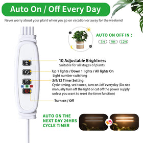 RWNTAO 3500K full-spectrum LEDs closeup, high light efficiency for vibrant foliage