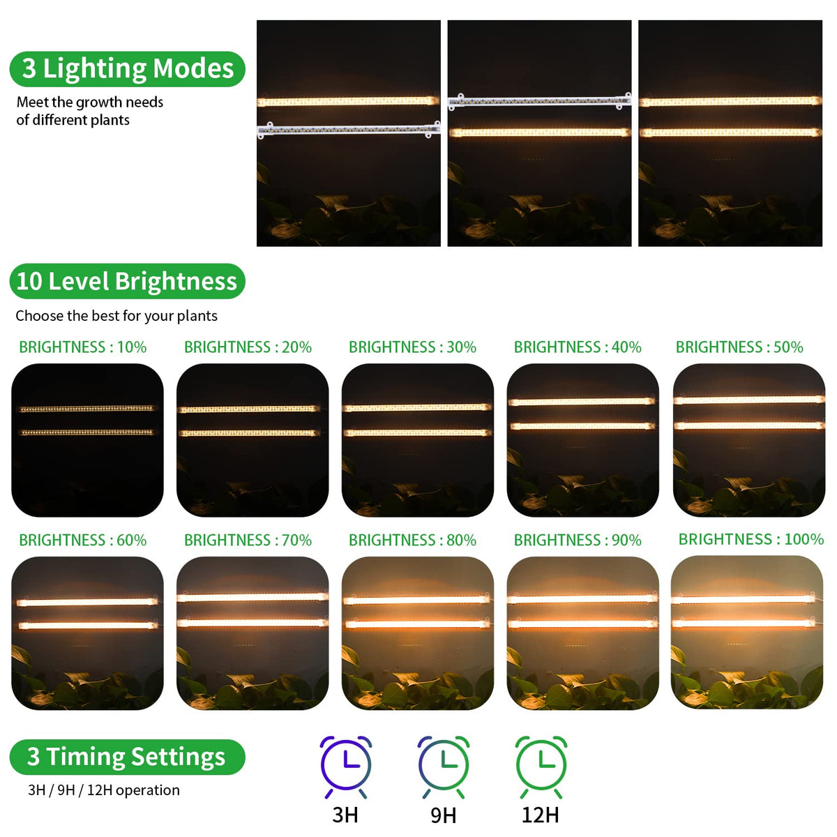 RWNTAO auto timer function image, 3/9/12h cycles for hands-free care