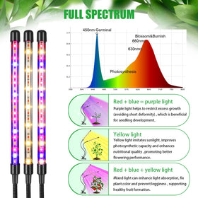 RWNTAO full-spectrum clip-on light mimics daylight for thriving indoor plants