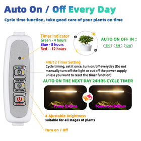 RWNTAO full-spectrum LED close-up highlights light quality for plants