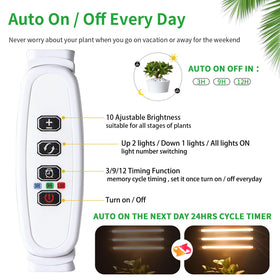 RWNTAO grow light timer function keeps plants on schedule for steady growth.