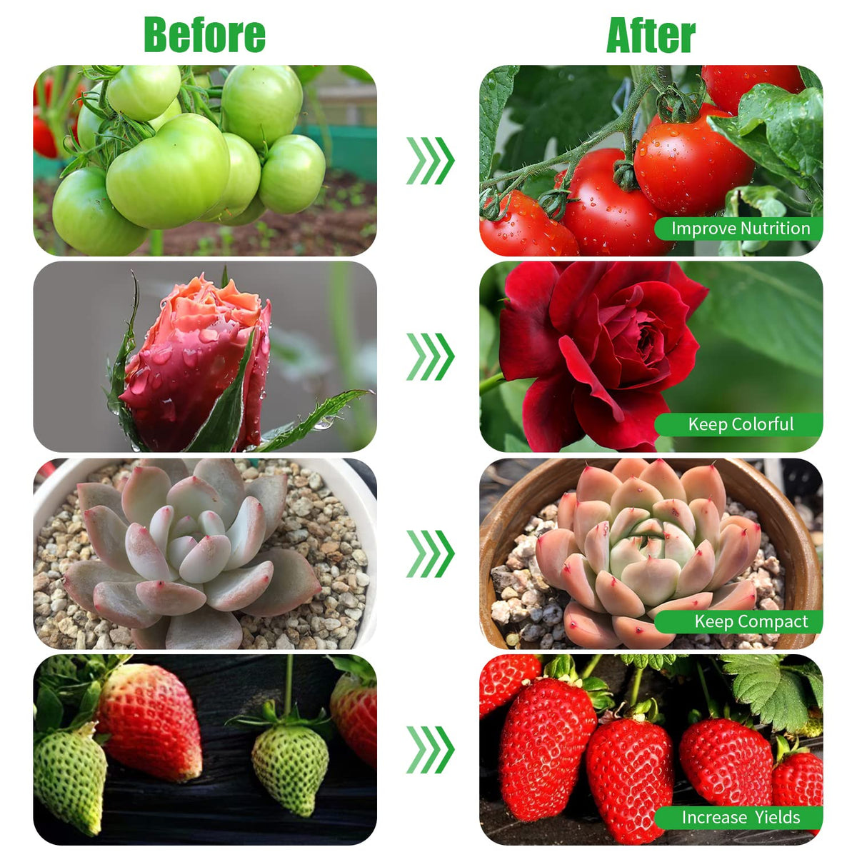 RWNTAO ideal for herbs, greens, and small houseplants indoors