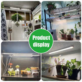 RWNTAO use cases with indoor plants like flowers and succulents