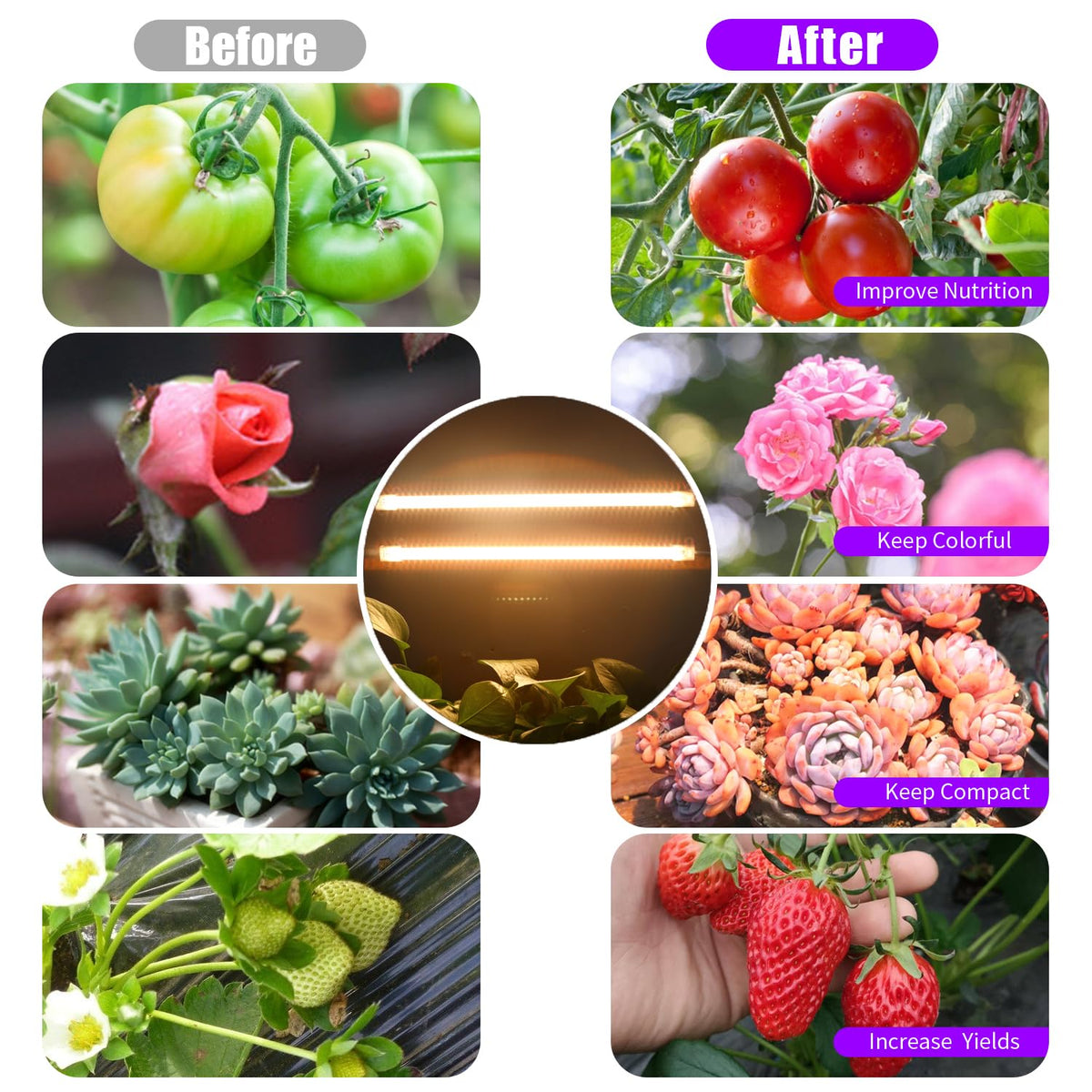RWNTAO LED grow light strip compact design fits desks and corners