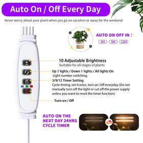 RWNTAO LED grow light strip with ten dimmable levels for growth stages