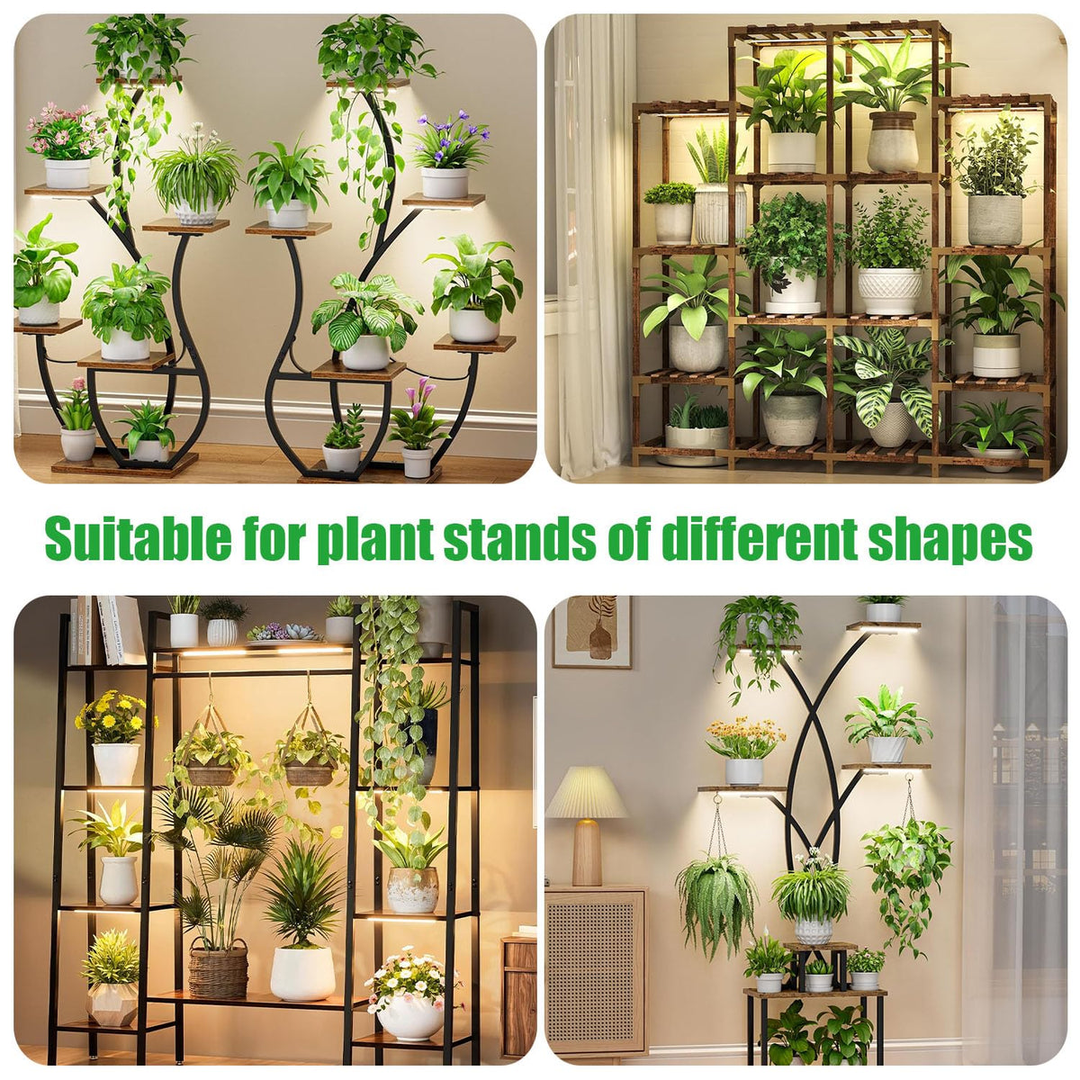 RWNTAO long 71-inch cord allows versatile placement for plants.
