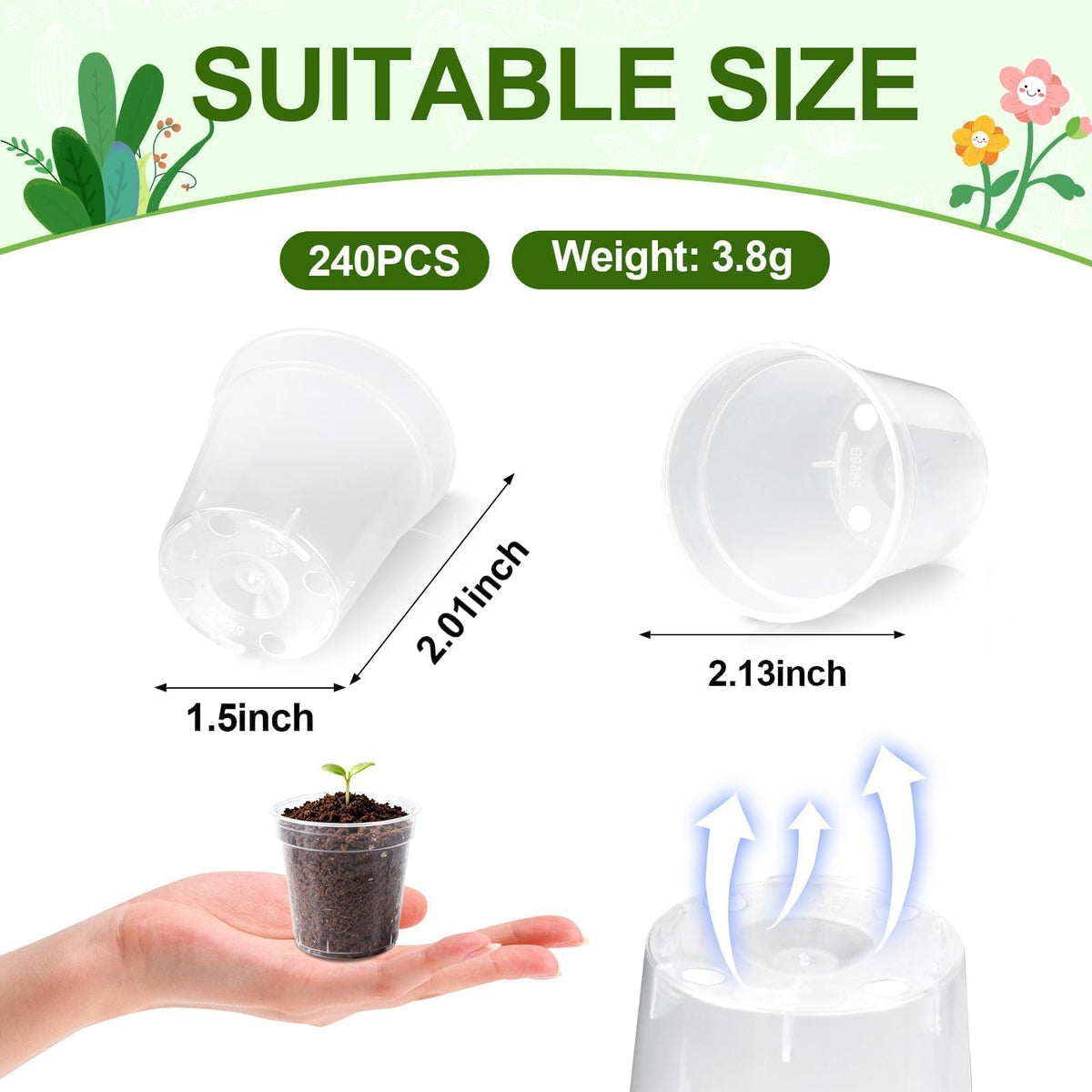 RXLWYUNLAE 2-inch clear nursery pot side view highlights compact stackable design
