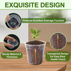 RXLWYUNLAE 240-pack clear nursery pots ready for seed starting and propagation indoors