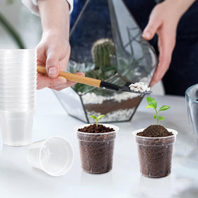 RXLWYUNLAE clear seedling pot showing drainage holes for healthy watering
