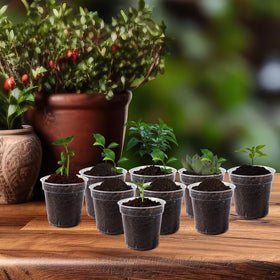 RXLWYUNLAE nursery pots on windowsill ideal for indoor herbs and small blooms