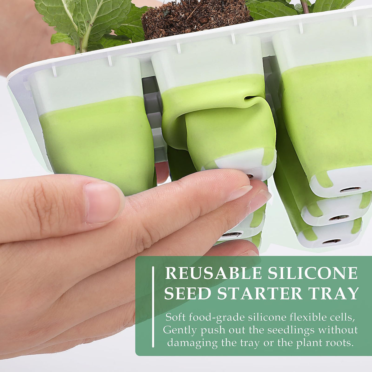 Ryscam tray features flexible pop-out cells to transplant without root damage.
