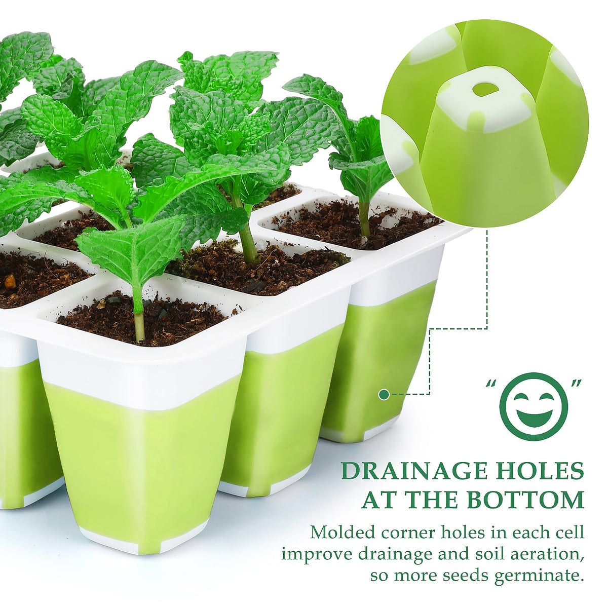 Ryscam indoor seed germination tray supports home garden setups.