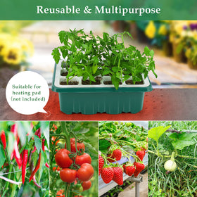 Ryscam BPA-free plastic and silicone design ensures safe indoor seed starts.