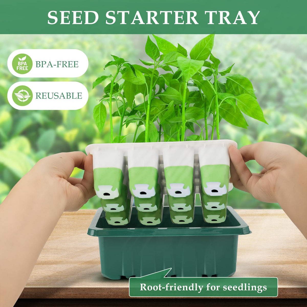 Ryscam seed tray with deep drainage grooves prevents overwatering and root issues.