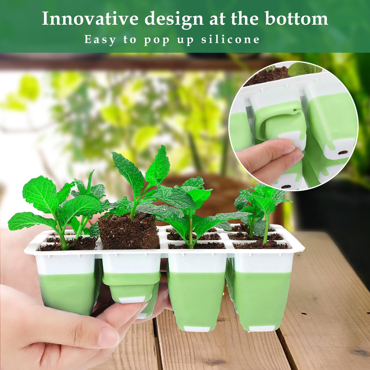 Ryscam tray with humidity dome supports consistent moisture during germination.