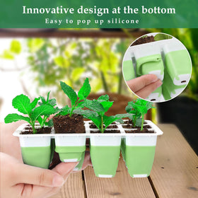 Ryscam tray with humidity dome supports consistent moisture during germination.
