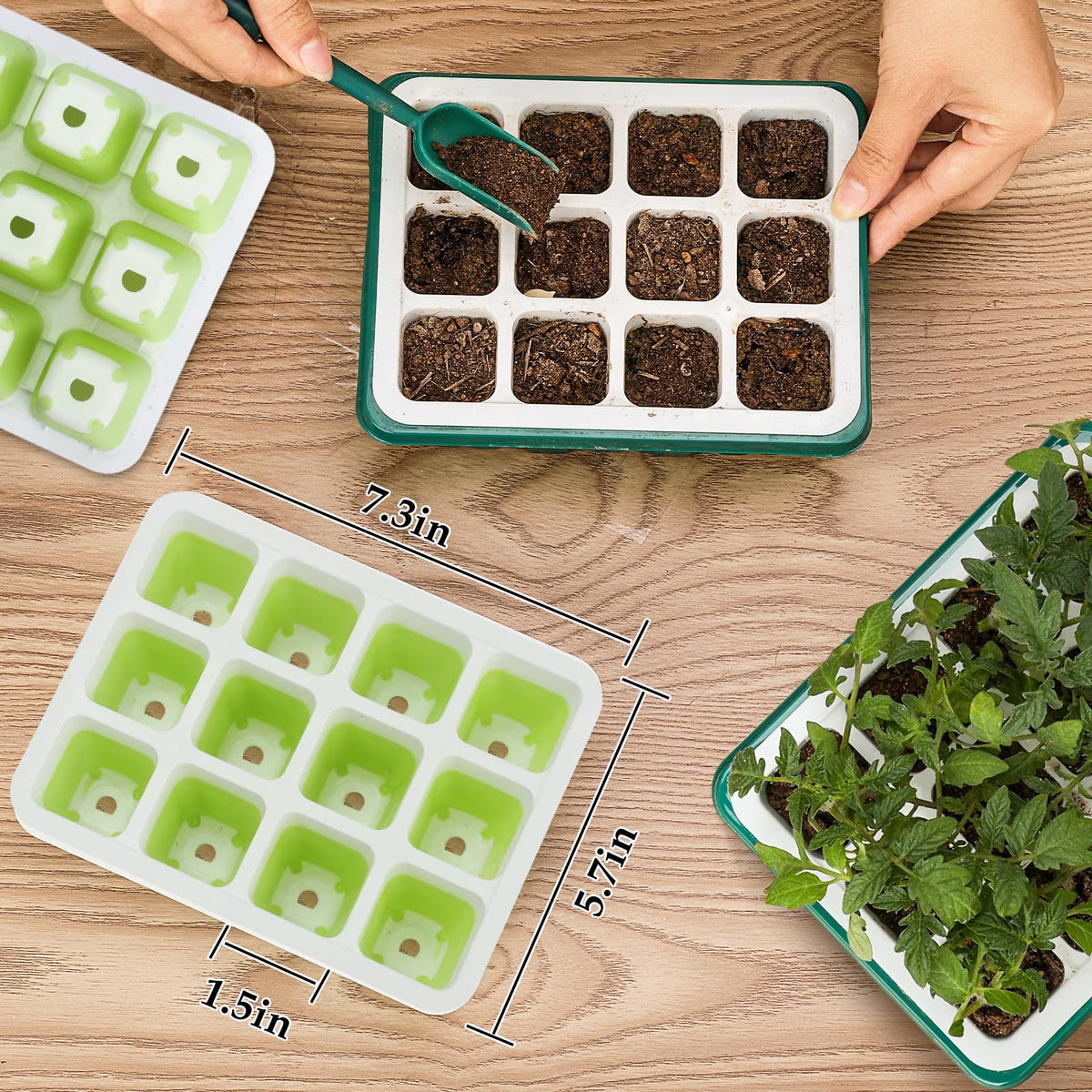 Ryscam versatile starter kit fits seeds, cuttings, and succulents.
