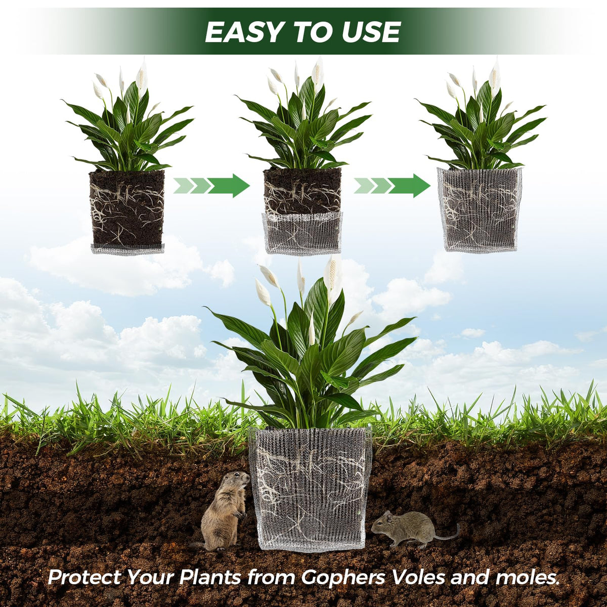 Ryxrhswzp gopher baskets close-up highlights rustproof, wear-resistant construction.