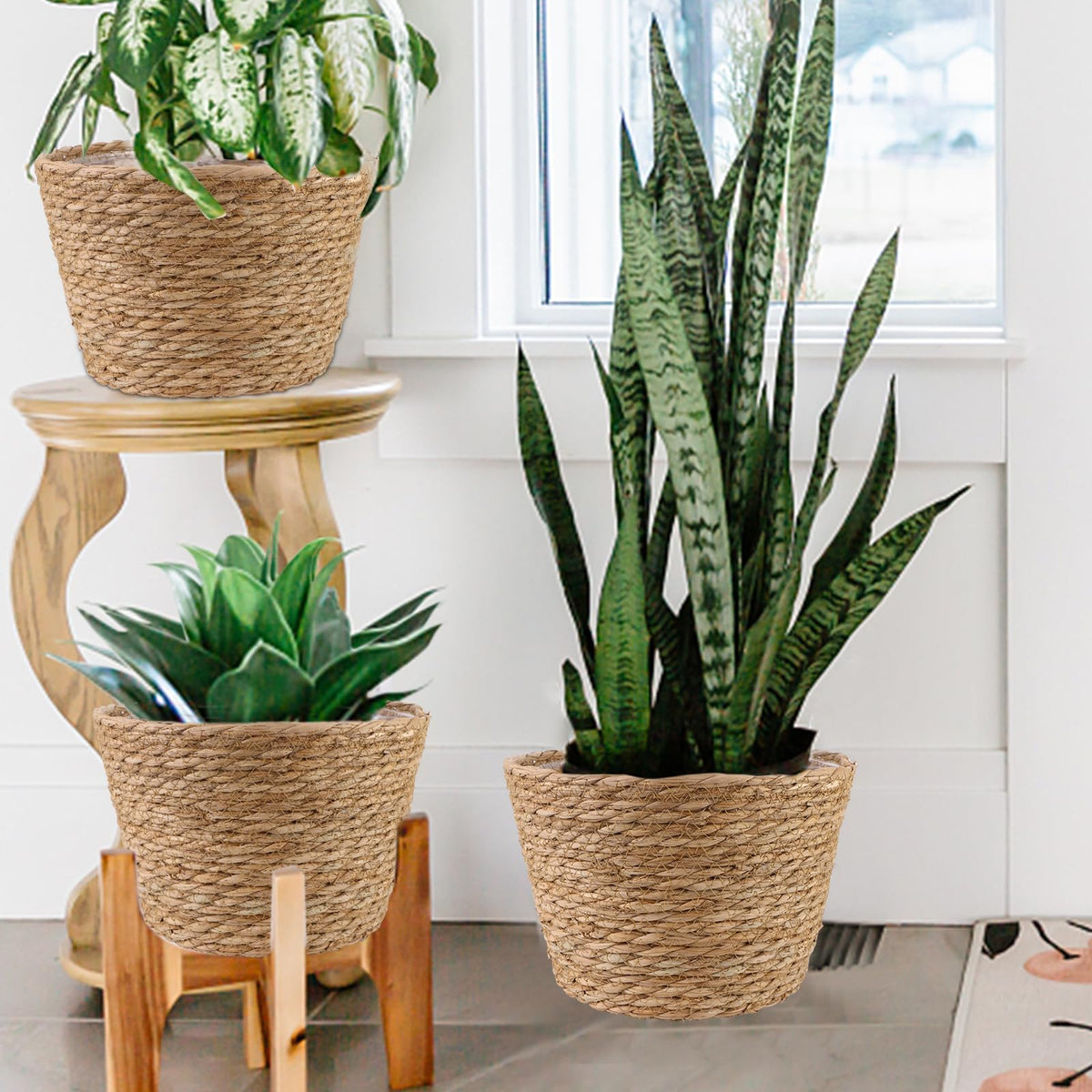 RZJSLSHANHAI planters transform kitchens, offices, and living rooms.