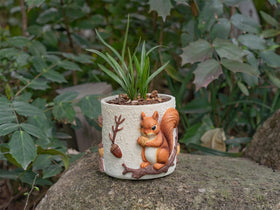 RZOIKZOI whimsical gift idea for Mothers Day or birthday.