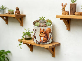 RZOIKZOI gift-ready packaging ideal for plant lovers.