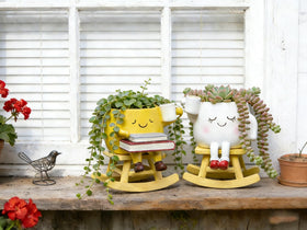 Gift-ready RZOIKZOI planter for plant lovers and special occasions