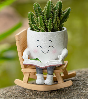 RZOIKZOI rocking-chair smiley planter ideal for small indoor succulents.