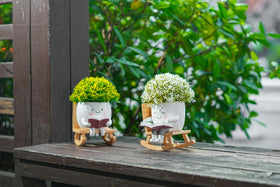 RZOIKZOI small plant pot perfect for tiny arrangements indoors.