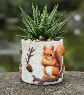 RZOIKZOI squirrel planter with drainage hole for healthy root drainage.