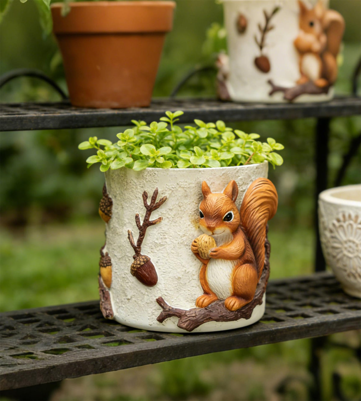 RZOIKZOI succulent friendly planter for small arrangements.